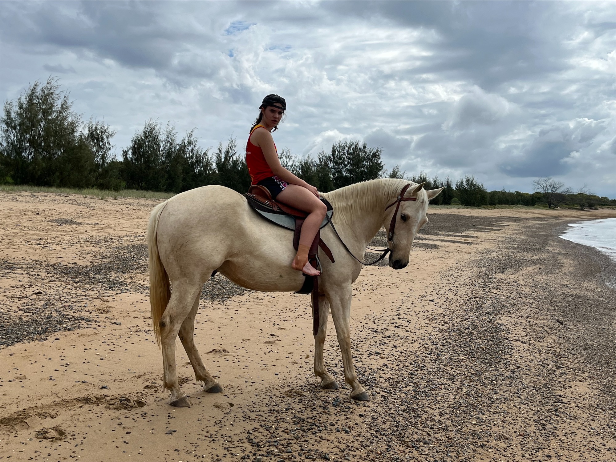 4yr old Palomino & 3yr old Palomino Quarter Horses on HorseYard.com.au