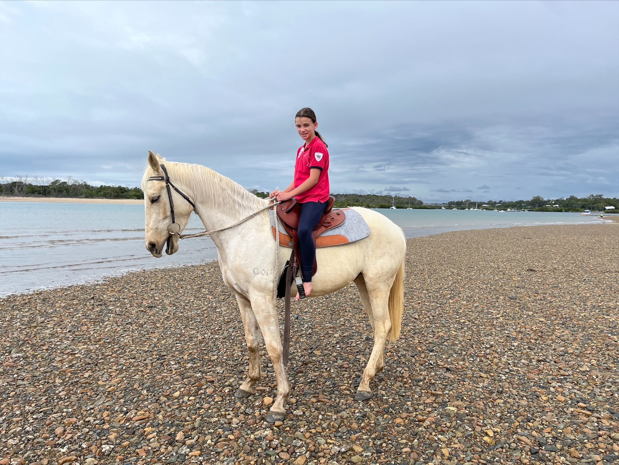 4yr old Palomino & 3yr old Palomino Quarter Horses on HorseYard.com.au