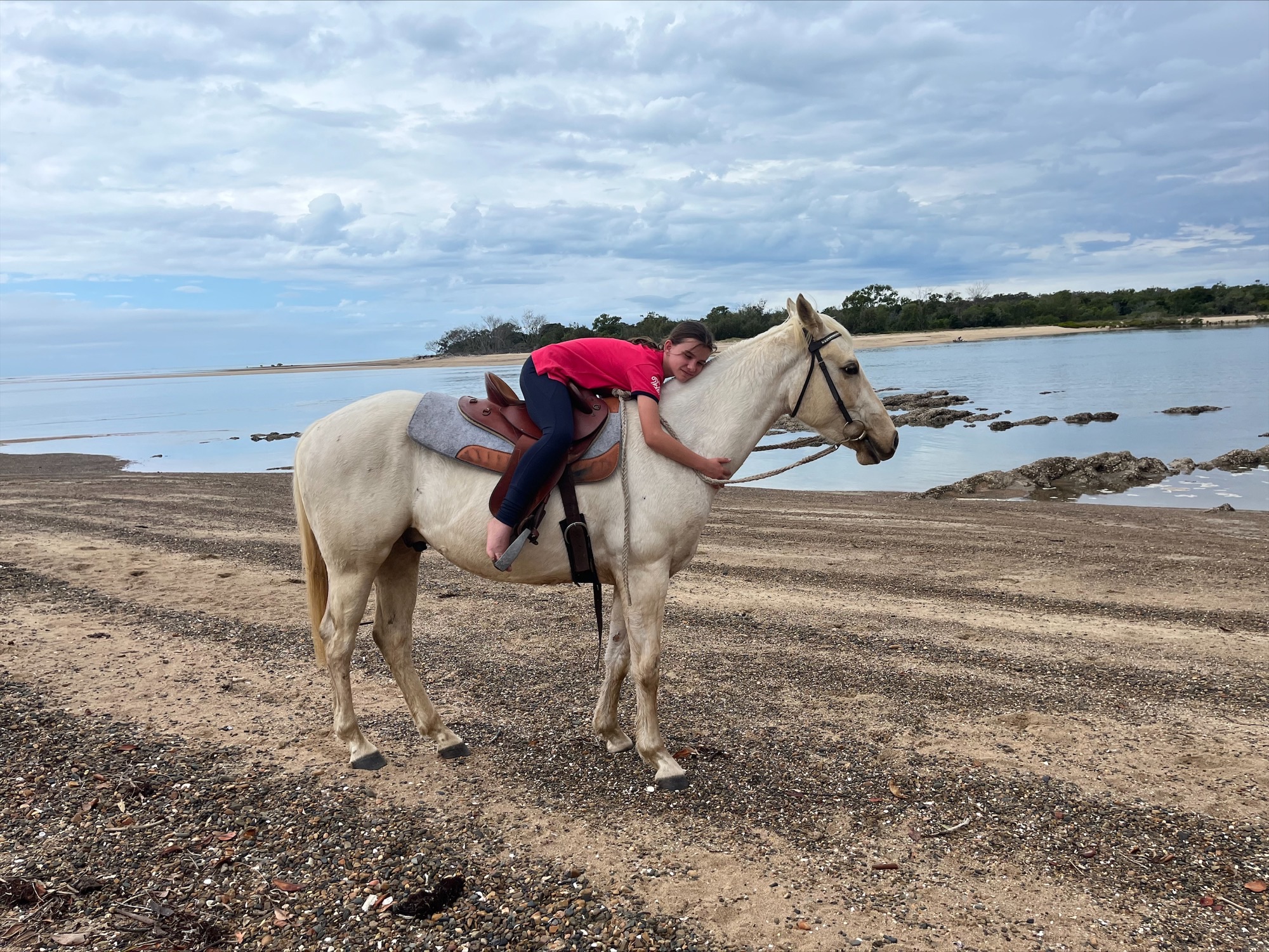 4yr old Palomino & 3yr old Palomino Quarter Horses on HorseYard.com.au